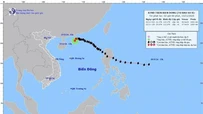 Thời tiết ngày 15/11: Bão số 8 suy yếu thành áp thấp nhiệt đới trên biển