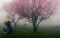 Thời tiết ngày 11/1: Bắc Bộ và Bắc Trung Bộ nhiệt độ tăng, xu hướng ấm dần