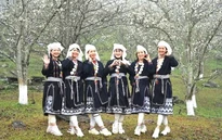 Lễ hội hoa lê Hồng Thái - điểm hẹn mùa Xuân vùng cao Tuyên Quang