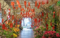 Khu vườn mùa Xuân giữa phố phường Hà Nội