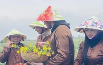 Mô hình mới trong phát triển du lịch của Thủ đô