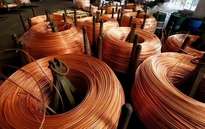 Giá đồng tăng 4,7%