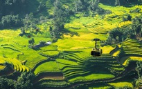 Sa Pa được chọn là điểm đến lý tưởng cho người tuổi Sửu năm 2026 