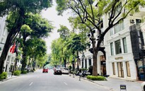 Dự báo thời tiết ngày 23/10: Các khu vực trên cả nước ngày nắng, Bắc Biển Đông biển động mạnh