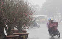 Thời tiết dịp nghỉ Tết Nguyên đán Bính Ngọ: Từ Thanh Hóa đến thành phố Huế có mưa, đêm và sáng trời rét