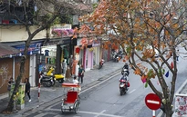 Dự báo thời tiết ngày 11/2: Nền nhiệt tăng, thời tiết ấm dần ở Bắc Bộ, Bắc Trung Bộ