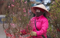 Dự báo thời tiết ngày 12/2: Bắc Bộ, Bắc Trung Bộ duy trì tình trạng rét về đêm và sáng sớm