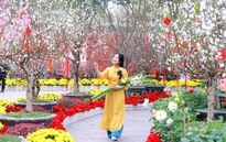 Thời tiết ngày Valentine 14/2: Nhiều khu vực trong cả nước trời có nắng