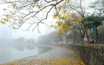 Từ chiều ngày 26/2: Bắc Bộ và Bắc Trung Bộ mưa sẽ giảm 