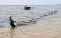 Thời tiết dịp bầu cử: Đông Nam Bộ có nơi nắng nóng