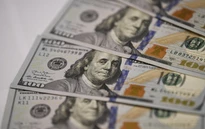 Tỷ giá hôm nay 17/3: Đồng USD và NDT đi ngang tại các ngân hàng