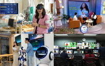 VTV2 đổi mới khung giờ vàng: Cảnh báo lừa đảo bằng câu chuyện người thật, việc thật