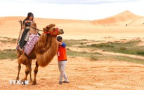 Mũi Né bất ngờ trở thành điểm đến xu hướng toàn cầu năm 2026