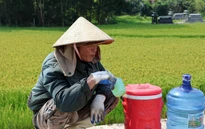 Dự báo thời tiết 12/4: Đà Nẵng và phía Đông Quảng Ngãi đến Đắk Lắk nắng nóng gay gắt