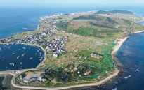 Quảng Ngãi: Ứng dụng công nghệ cao nâng tầm giá trị tỏi Lý Sơn