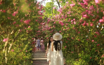 Khám phá loạt điểm đến xanh mới lạ tại Thủ đô