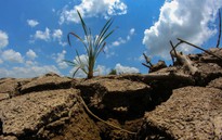 Nắng nóng gay gắt bao trùm TP HCM và Nam Bộ trong tháng 4