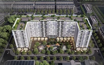 Phát triển nhà ở cho thuê - từ giải pháp trước mắt đến trụ cột an sinh dài hạn