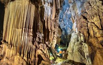 Phát hiện hang động mới với hệ thống thạch nhũ và ngọc động hiếm gặp tại Phong Nha - Kẻ Bàng