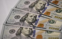Tỷ giá hôm nay 17/7: USD giảm giá tại các ngân hàng