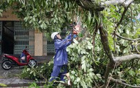 CẬP NHẬT BÃO SỐ 1:  Quảng Ninh thiệt hại khoảng 20 tỷ đồng