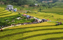 Vì một miền quê đáng sống: Sín Chéng mùa vàng ngân vang tiếng khèn