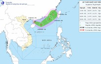 Áp thấp nhiệt đới tăng cường độ, đổi hướng trên khu vực phía Đông Nam bán đảo Lôi Châu (Trung Quốc)