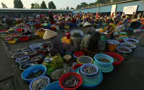 Nét quê ở chợ phường Vị Thanh, Cần Thơ