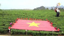 Cao nguyên Mộc Châu đón hàng ngàn lượt du khách dịp nghỉ lễ