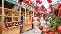 Sun World Ba Na Hills hứa hẹn hút khách dịp Tết Ất Tỵ với lễ hội hoa 2025