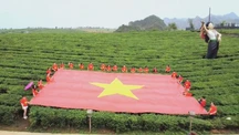 Tăng sức hấp dẫn cho Cao nguyên Mộc Châu