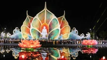 Tuệ giác Phật giáo vì hòa bình thế giới và phát triển