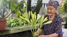 Tự hào người 'giữ lửa' thông tin giữa bom đạn  