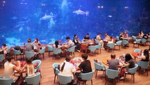 Xây dựng hình ảnh “Mỗi người dân Phú Quốc là một đại sứ du lịch”