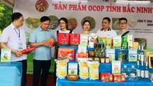 Từ sản vật làng quê đến thương hiệu vươn xa