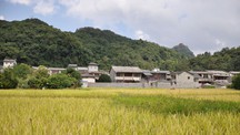 Nông thôn Trung Quốc chuyển mình nhờ du lịch xanh