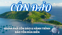 Khám phá Côn Đảo và hành trình bảo tồn rùa biển