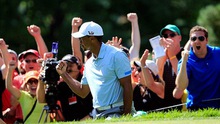 WGC Bridgestone Invitational: Đẳng cấp Tiger Woods