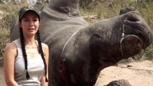 Hồng Nhung ra MV kêu gọi không tiêu thụ sừng tê giác tại Nam Phi
