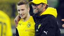 Như Reus, Klopp có thể rời Dortmund