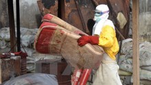 Dịch Ebola đe dọa thành tựu về phòng chống bệnh sốt rét