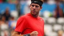 Del Potro rút khỏi Australian Open vì chấn thương