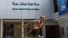Hai địa điểm dự kiến xây dựng Bảo tàng Thiên nhiên tại Hà Nội