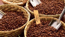 Lễ hội đánh dấu mốc 100 năm cây cà phê đến Đắk Lắk