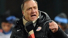 Dick Advocaat trở thành HLV tạm quyền của Sunderland