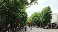 Ông Nguyễn Văn Cẩn - Giám đốc Trung tâm Công viên cây xanh: 'Hồ sơ dự án chỉ để tham khảo nội bộ'