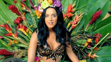 Nữ ca sĩ Katy Perry: Thành siêu sao từ những đĩa nhạc nghe lén