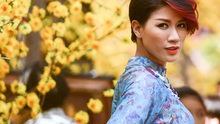 Khởi tố người mẫu Trang Trần, cho tại ngoại vì đang mang thai