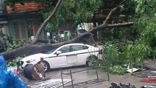 "Đám mây đối lưu" quật tơi bời cây cối, nhà cửa, xe cộ ở Hà Nội