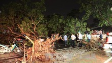 Tổng thiệt hại do dông lốc: 2 người chết, 1.350 cây xanh bị đổ, 25 ô tô bị hư hại...